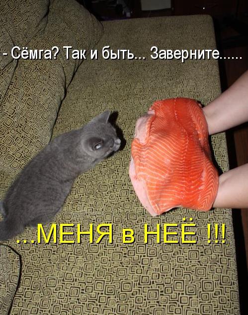 456866 439820