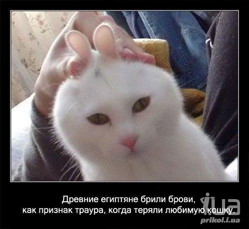 573666 542753