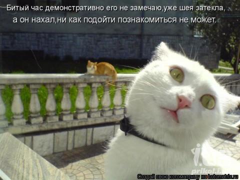 679566 731271