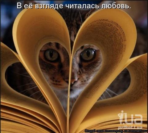679566 731277
