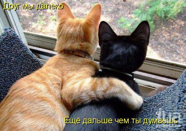 738466 842030