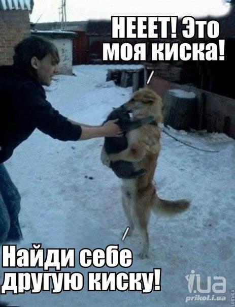 961066 1355777
