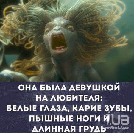 997666 1425263