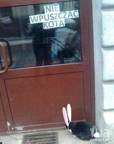 Не треба здаватися