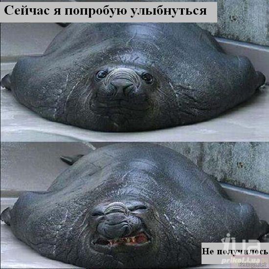 555177 529493