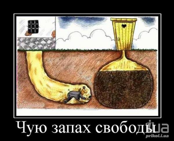 632077 621984