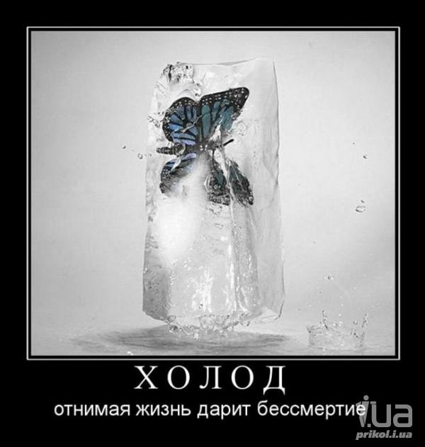 749177 872161