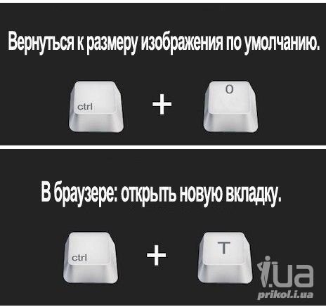 910977 1258232