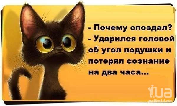 Галерея прикольные картинки про сон с надписями прикольные картинки про сон с надписями