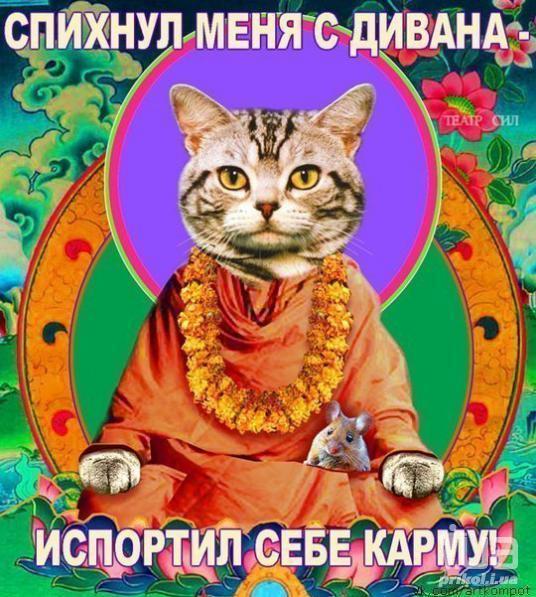 1014588 1460257