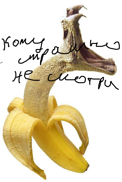 284488