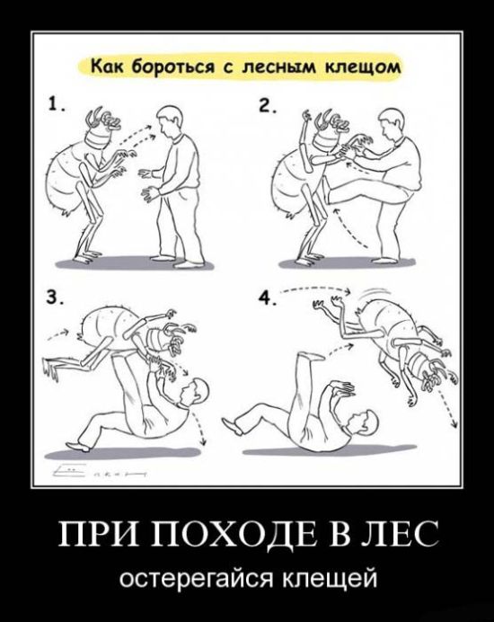 425788 410064