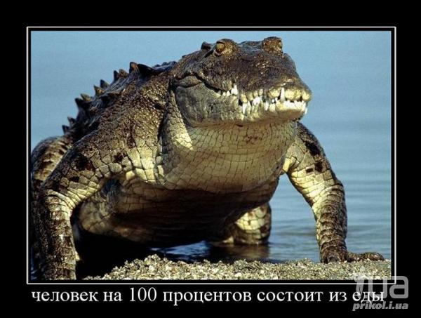 679388 731067