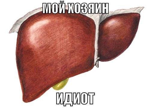 884688 1199370