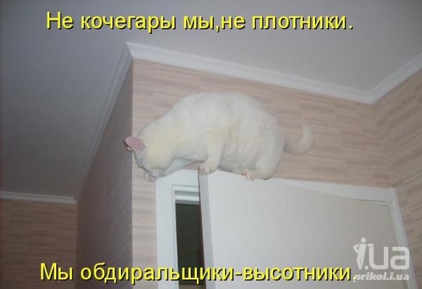 588699 555049